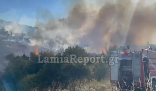 Σε εξέλιξη η φωτιά στη Λαμία, σταδιακά υποχωρεί η πυρκαγιά στο Σουφλί