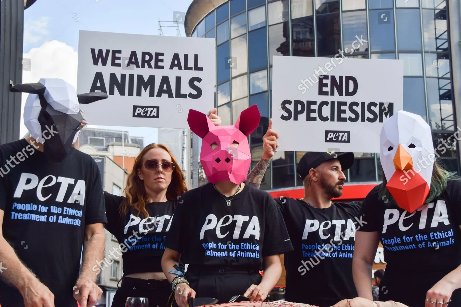 Η PETA δημοσιοποίησε βίντεο από πειράματα σε νεογέννητους μακάκους στο Πανεπιστήμιο της Ουάσιγκτον