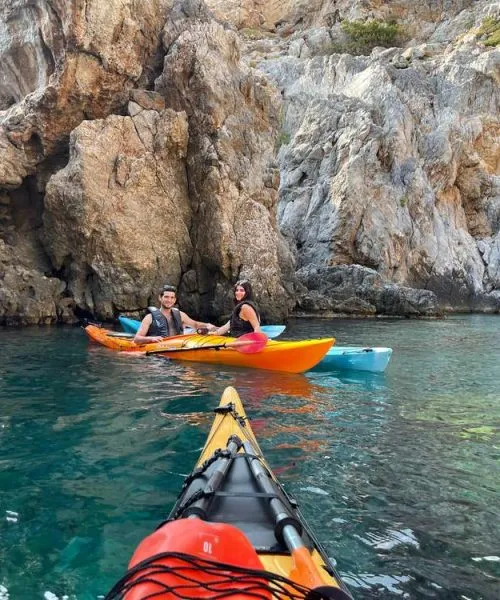 Πεζοπόροι μετέφεραν τραυματισμένη φώκια από το Καλάμι των Κυθήρων