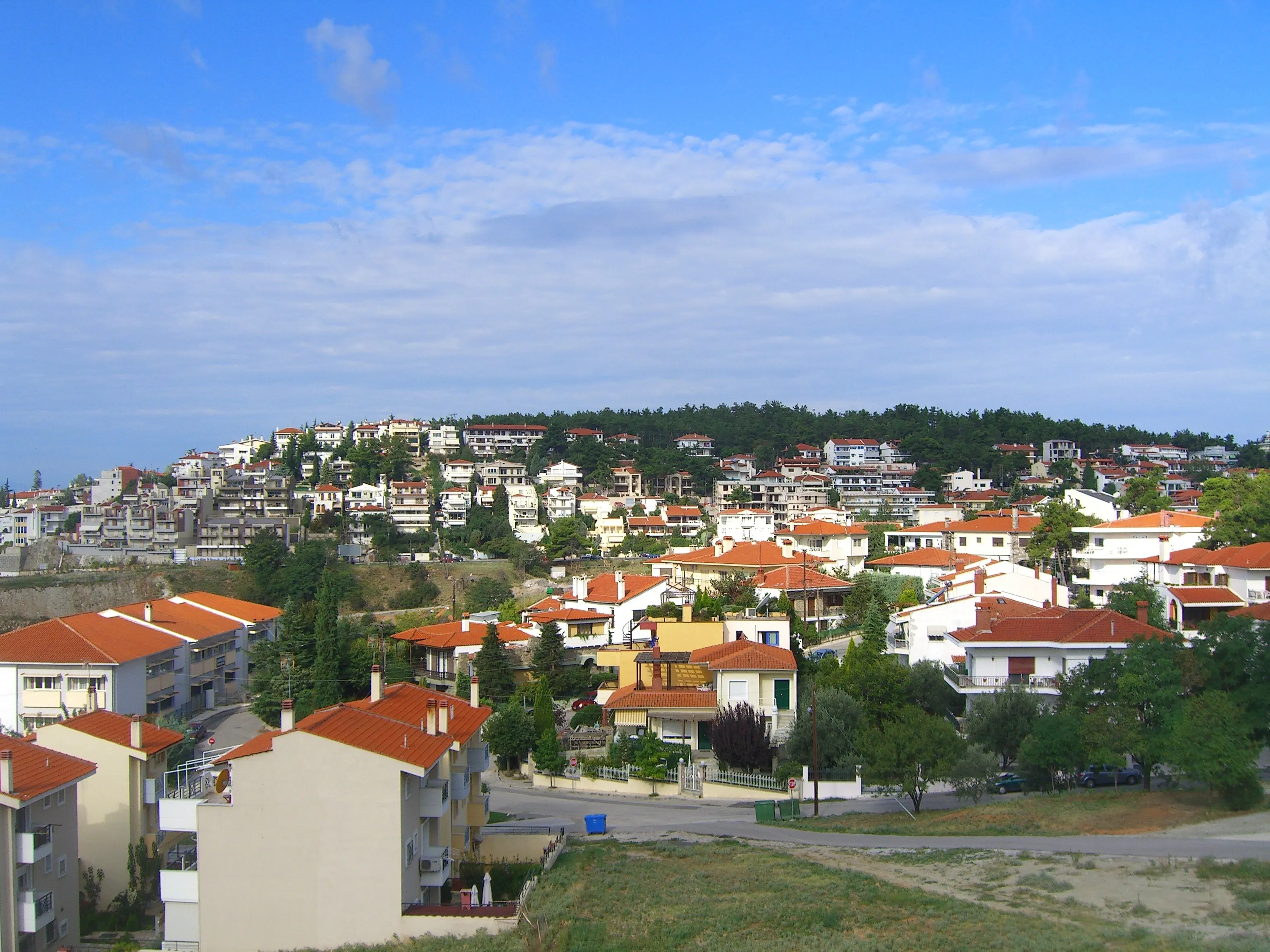 Φωτιά σε χαμηλή βλάστηση στο Πανόραμα – Γυναίκα μεταφέρθηκε στο νοσοκομείο