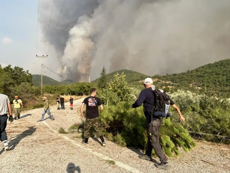 Πυρκαγιά σε δασική έκταση στα Κασσιτερά Ροδόπης με 30 πυροσβέστες και εναέρια μέσα