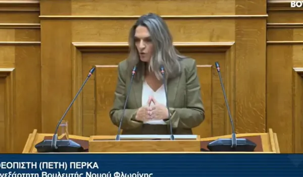 Πέτη Πέρκα στη Βουλή: Τα λιμάνια είναι κρίσιμες υποδομές, το δημόσιο πρέπει να έχει την αρμοδιότητα του αναπτυξιακού τους σχεδιασμού