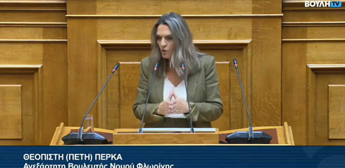Πέτη Πέρκα στη Βουλή: Τα λιμάνια είναι κρίσιμες υποδομές, το δημόσιο πρέπει να έχει την αρμοδιότητα του αναπτυξιακού τους σχεδιασμού