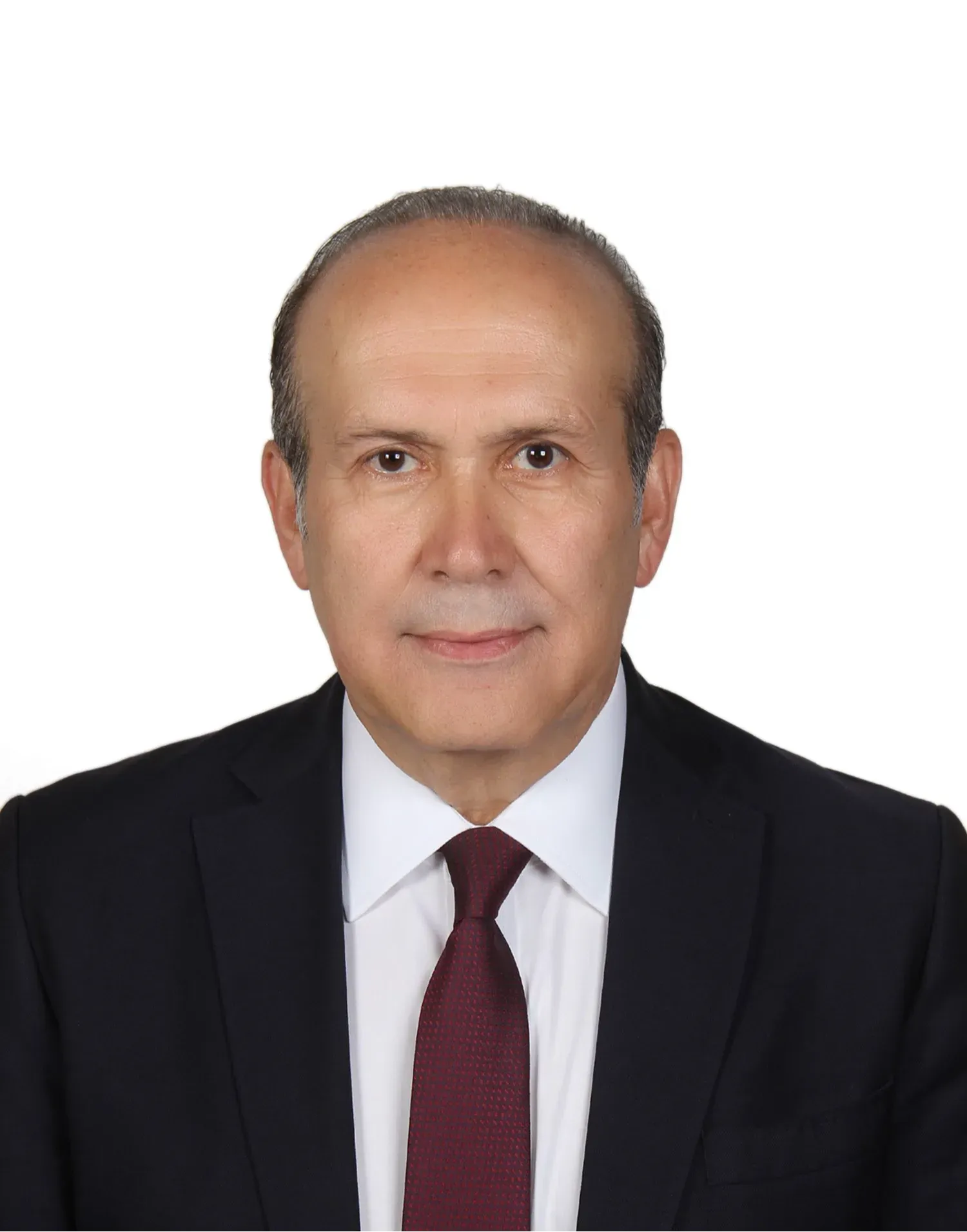 Ο Ναμίκ Ταν κατηγορεί τον Αμερικανό πρέσβη στην Τουρκία για υπέρβαση του ρόλου του