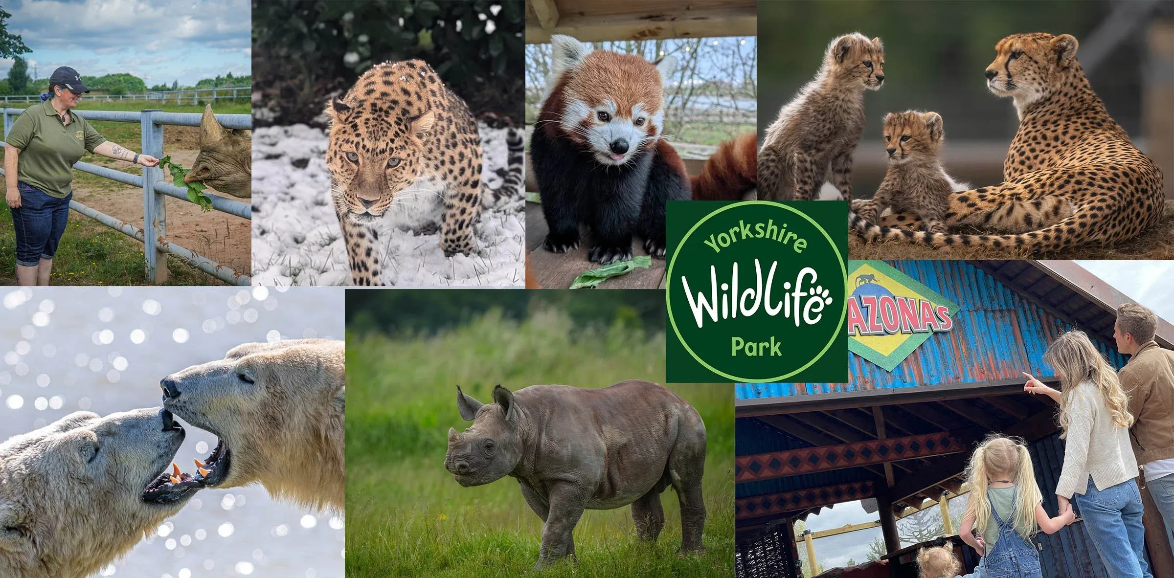 Νεκρός άνδρας μετά από επίθεση τίγρης στο Yorkshire Wildlife Park