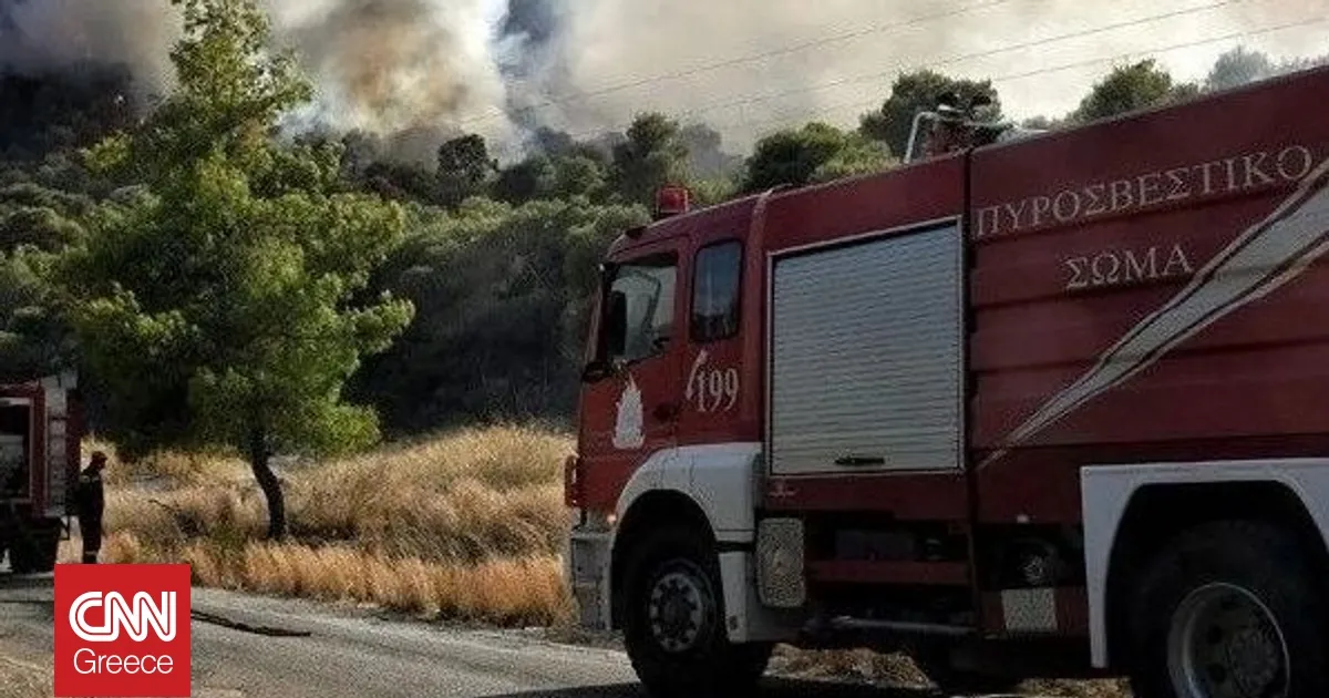 Χωρίς ενεργό μέτωπο η φωτιά που πέρασε από τη Βουλγαρία στο Σουφλί