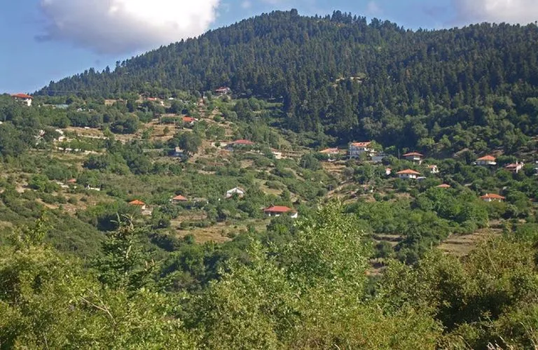 Πυρκαγιά στον Δρυμώνα Αιτωλοακαρνανίας με 25 πυροσβέστες και δύο αεροσκάφη