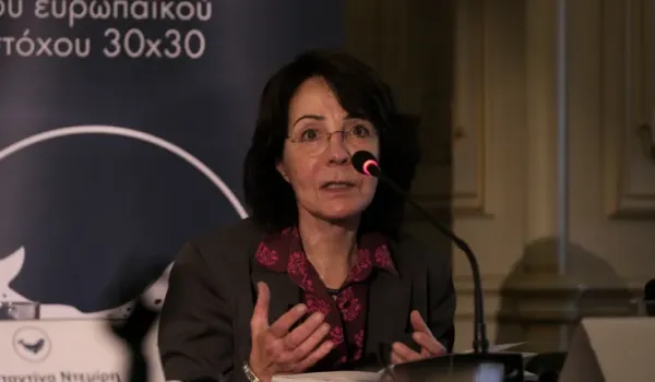 Δαμανάκη: Μύθος ότι οι Βρυξέλλες και η ΕΕ εχθρεύονταν την Ελλάδα
