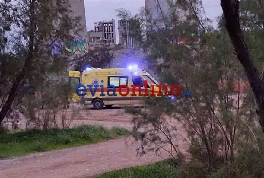 Νεκρός 19χρονος μετά από πτώση από την Υψηλή Γέφυρα στη Χαλκίδα