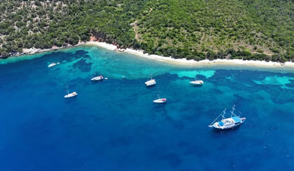 Η ΕΛ.Α.Σ ζητά έλεγχο της επιδότησης των 200.000 ευρώ προς εταιρεία του Σπύρου Κουλκουδίνα