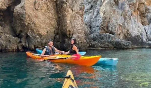 Πεζοπόροι μετέφεραν τραυματισμένη φώκια από το Καλάμι των Κυθήρων