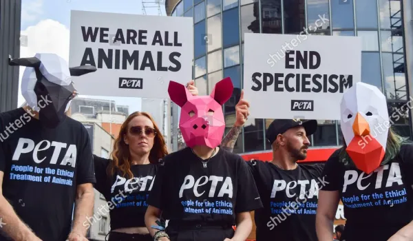 Η PETA δημοσιοποίησε βίντεο από πειράματα σε νεογέννητους μακάκους στο Πανεπιστήμιο της Ουάσιγκτον