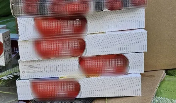 Κατασχέθηκαν 10,5 εκατ. λαθραία τσιγάρα στον Πειραιά – Συνελήφθη 33χρονος οδηγός